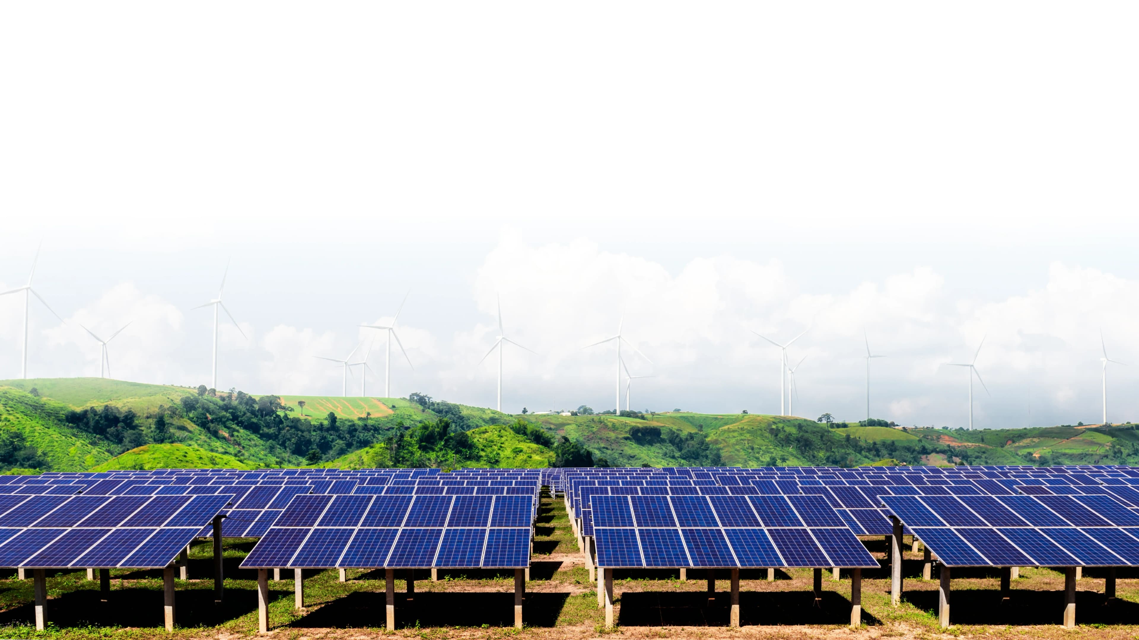 Sustainability & Responsibility